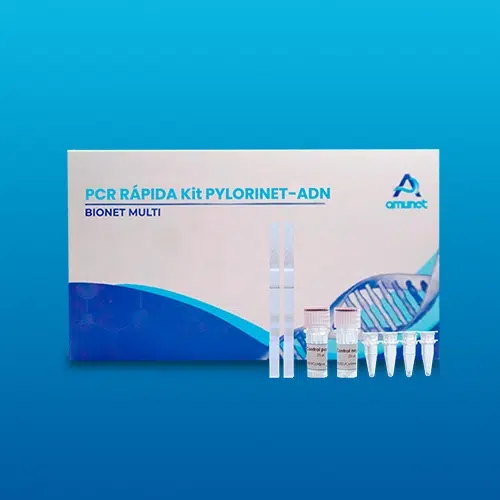 PCR rápida para Helicobacter pylori