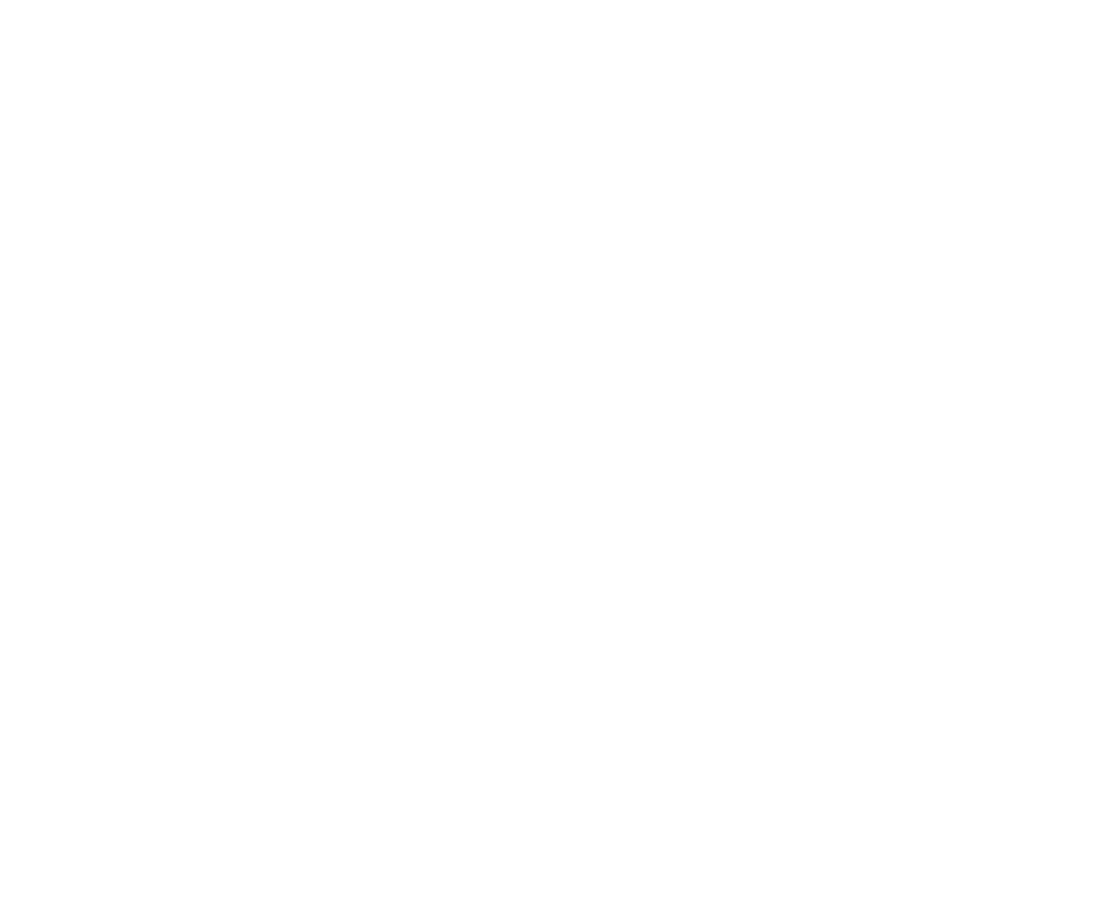 Logo blanco