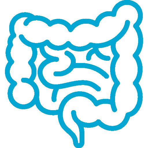 Intestino y microbioma