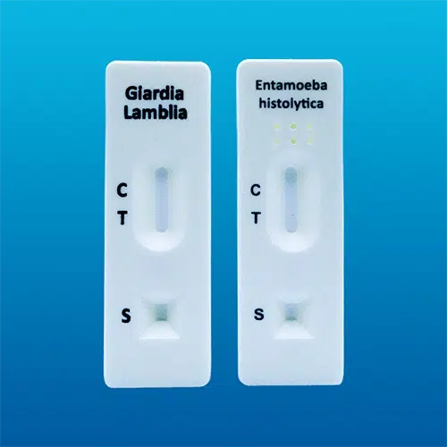 Kit de pruebas rápidas Entamoeba H. + Giardia Lamblia