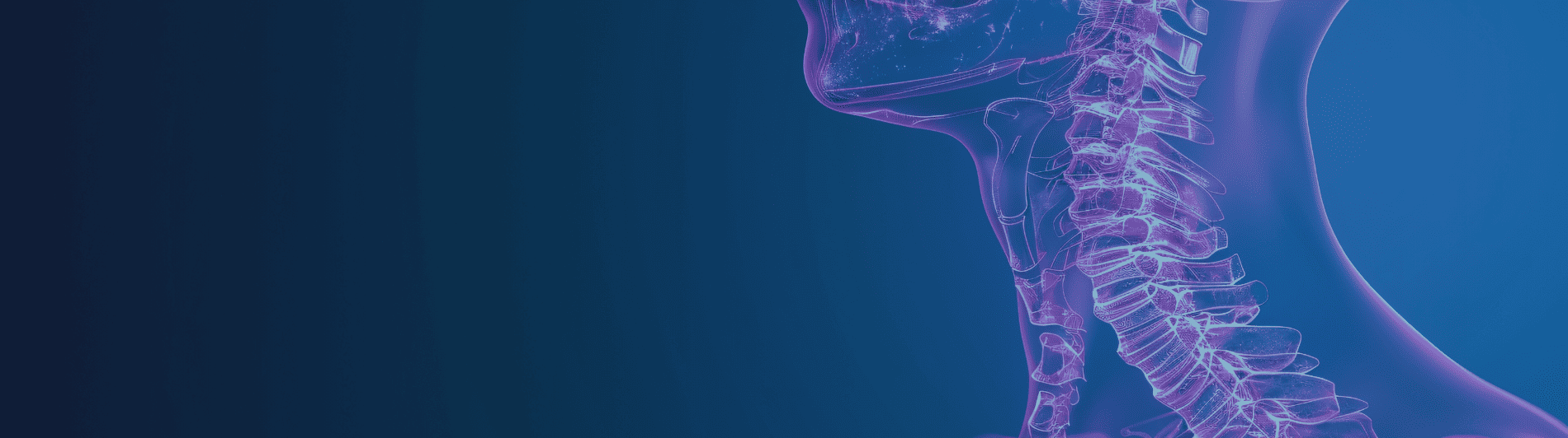 banner tiroides amunet