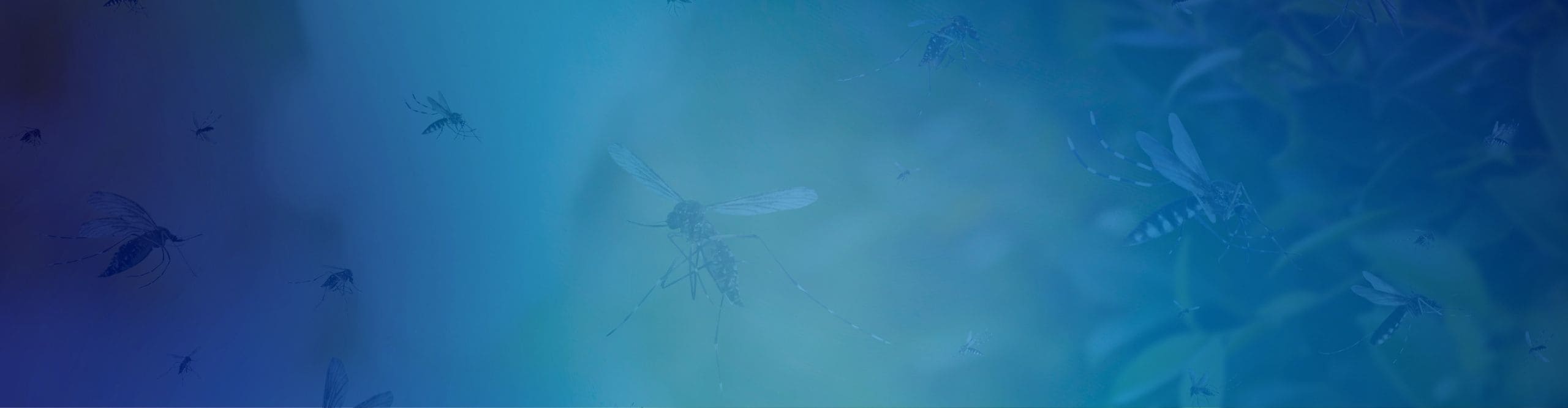 Banner para Sliders Amunet