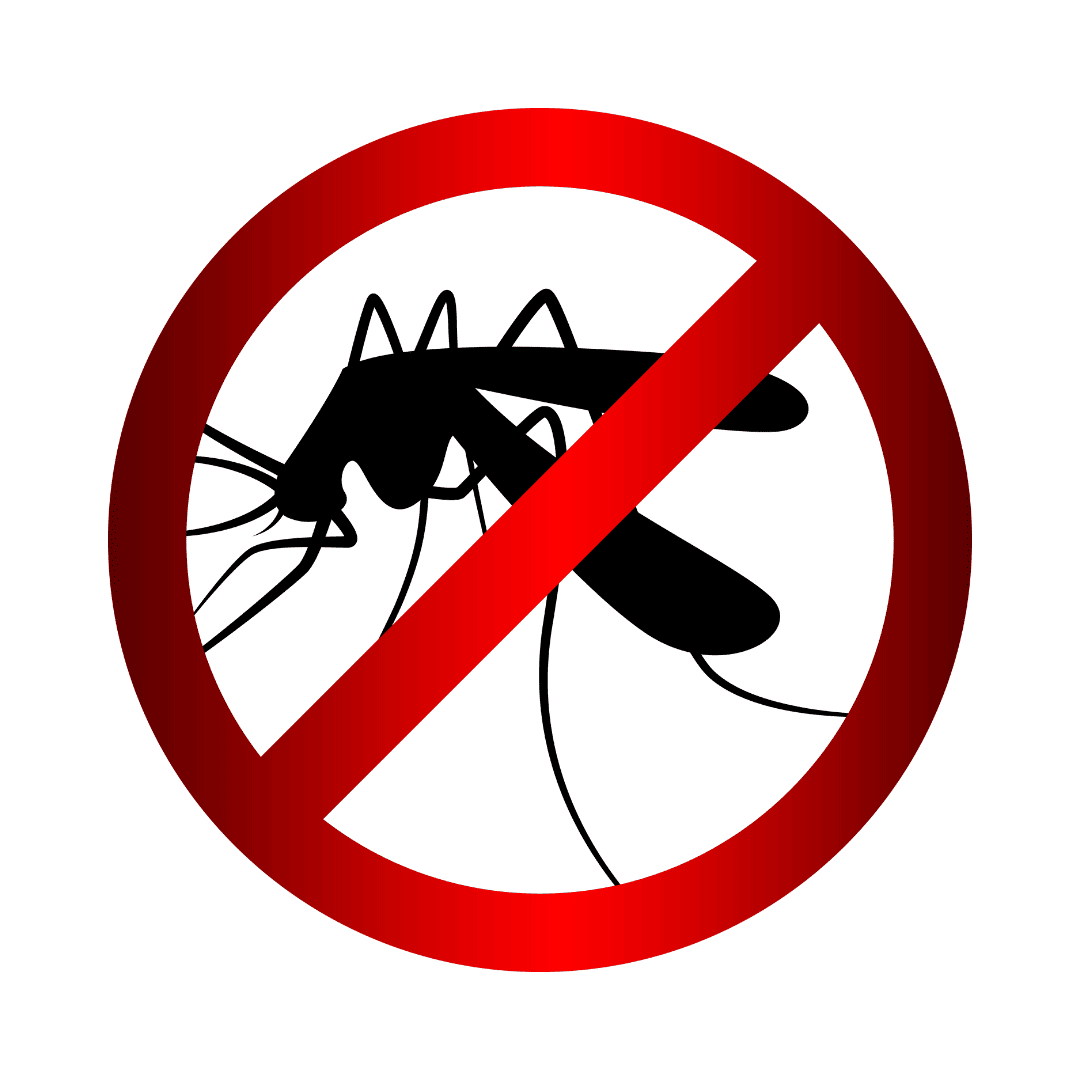 MOSQUITONOAMUNET