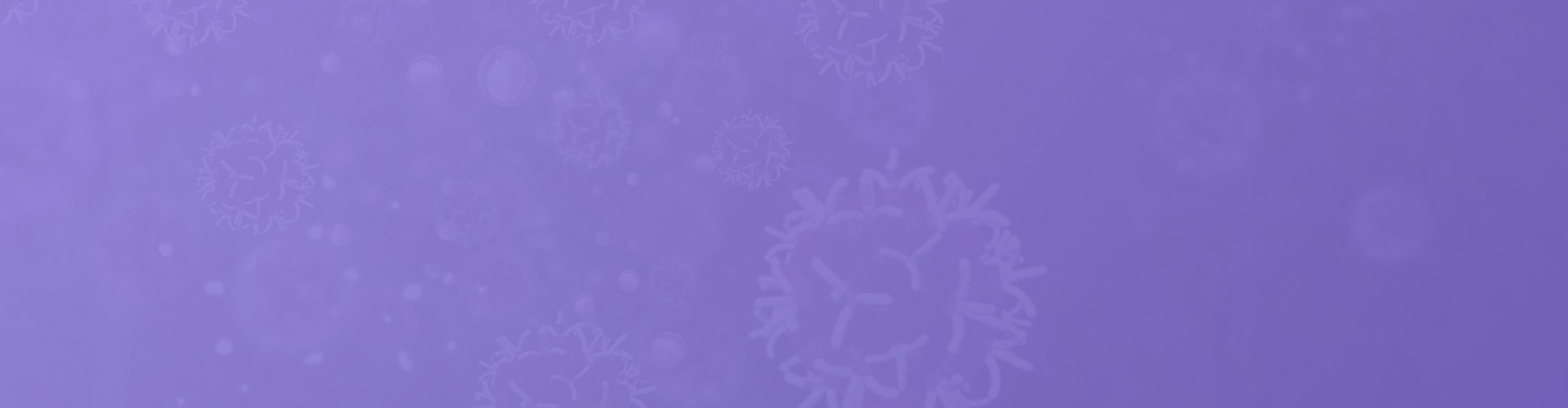 banner lila oct2