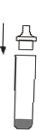 Influenzav5 Influenzav5