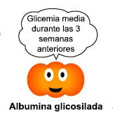 albumina glicosilad albumina glicosilad