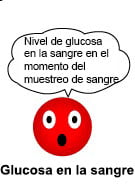 glucosa en la sangre glucosa en la sangre
