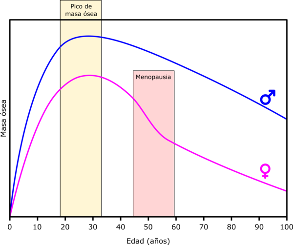 osteoporosis en la menopausia vitamina D