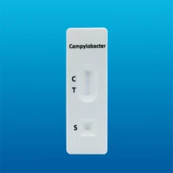 Prueba rápida Campylobacter