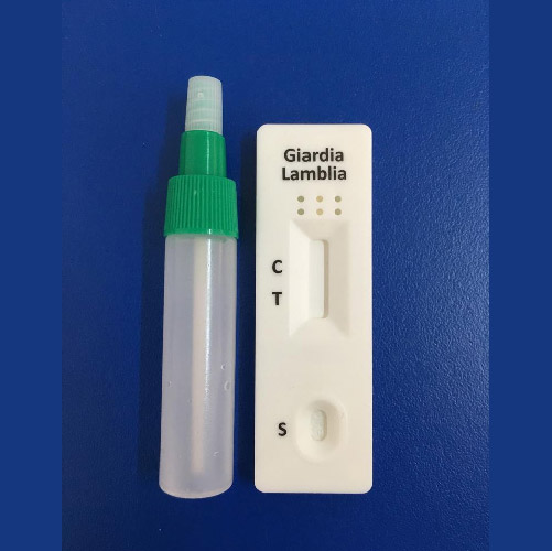 Prueba rápida de Giardia Lamblia