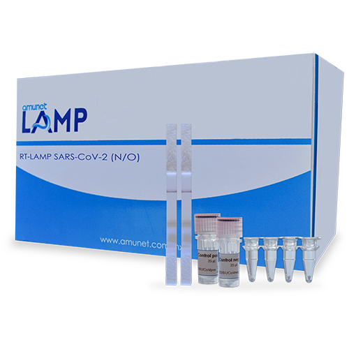 SARS-CoV-2 ORF1a/N primer LAMP set