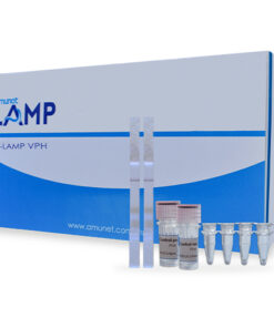 Prueba PCR RT-LAMP VPH