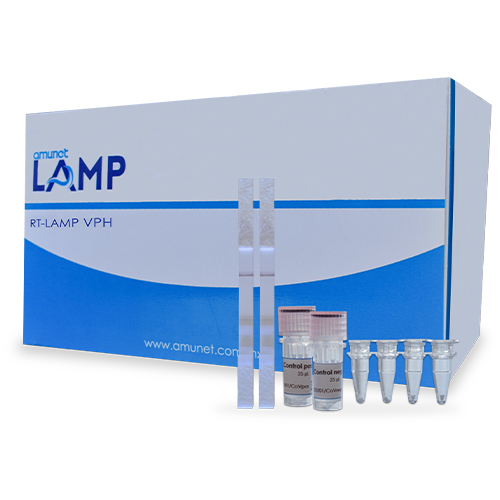 Prueba PCR RT-LAMP VPH