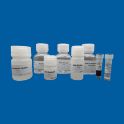 Kit de extracción de ADN/ARN genómico MagnetiDNA 2