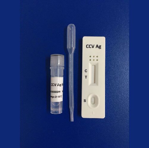 Prueba rápida de antígenos de Coronavirus canino CCV
