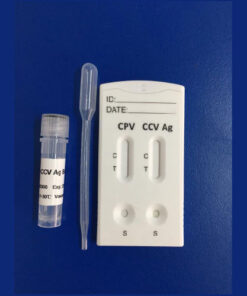 prueba rápida parvovirus coronavirus canino