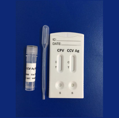 prueba rápida parvovirus coronavirus canino