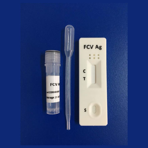 Prueba rápida para la detección de Calicivirus felino
