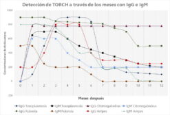 Prueba rápida de TORCH IgG e IgM - Amunet Laboratorio Portable