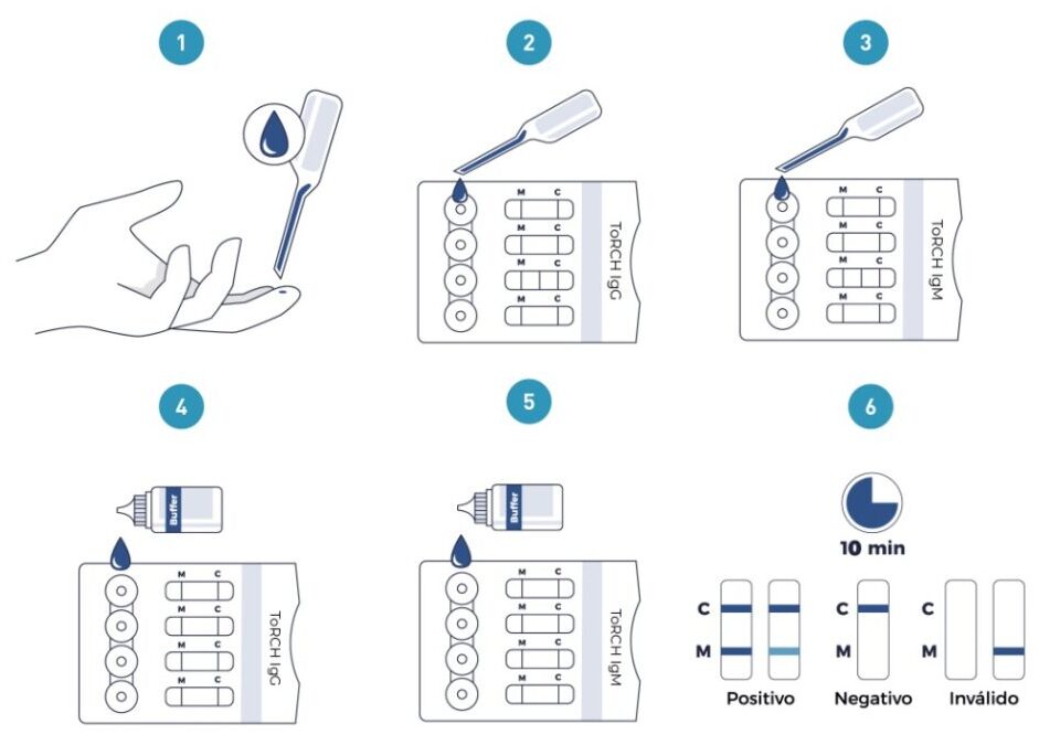 Prueba rápida de TORCH IgG e IgM Laboratorio