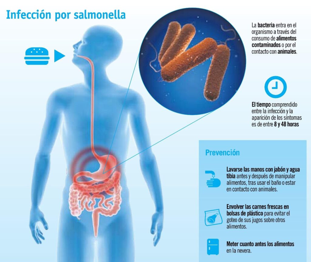 PCR rápida para Salmonella spp