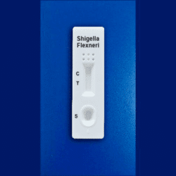Prueba rápida de Shigella flexneri - Caja con 10 pruebas