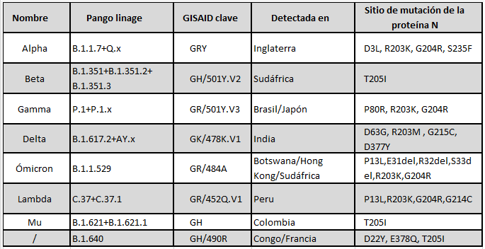 tabla de mutaciones y orignes covid tabla de mutaciones y orignes covid